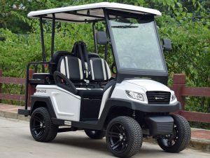 Bintelli Beyond 4PR Street Legal Golf Cart - Aluminum Frame